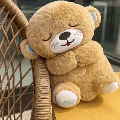 Light And Breathing Motion Teddy