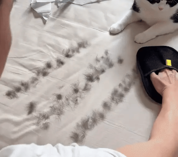 Pet Hair Removing Glove