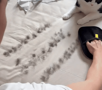 Pet Hair Removing Glove