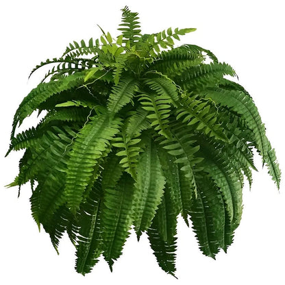 UV Resistant Artificial Boston Fern