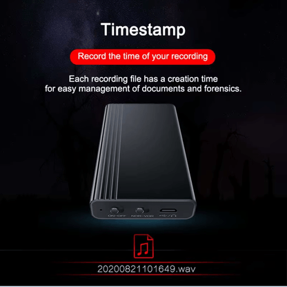 Mini Voice Recorder - ( 128 GB Storage )