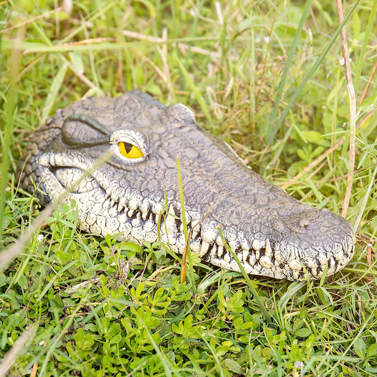 Remote Control Alligator Head - #2024 RC Alligator